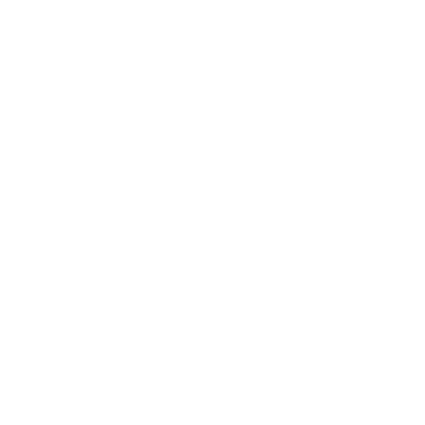 VIZION