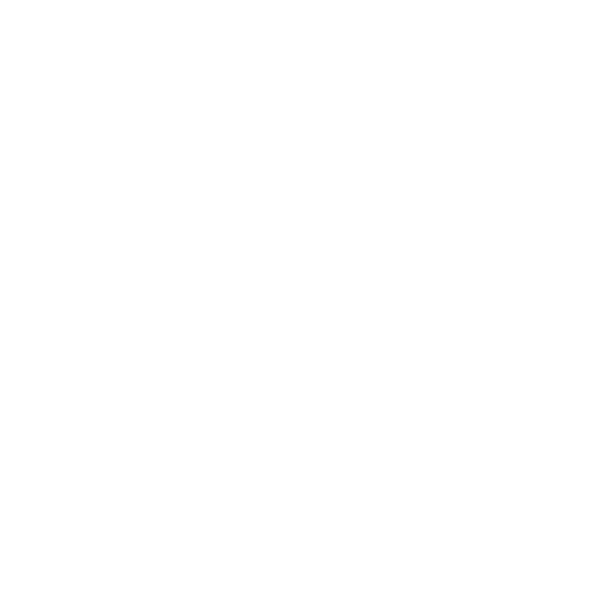 CHESS FUN ART Logo