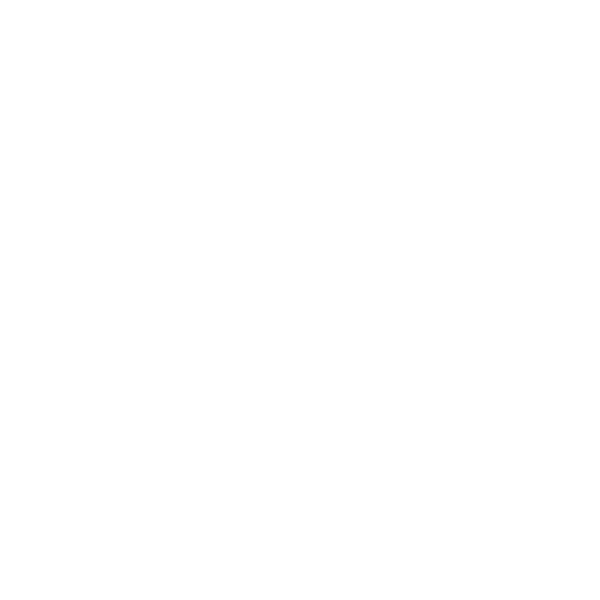 ZNOTE Logo